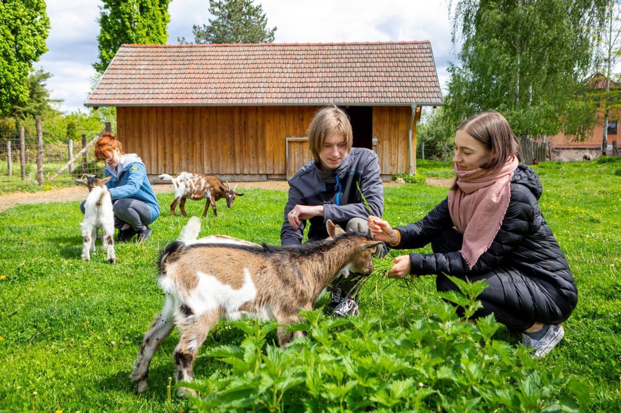 Landhotel Biberburg Bad Liebenwerda Zewnętrze zdjęcie