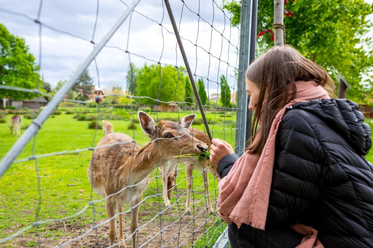 Landhotel Biberburg Bad Liebenwerda Zewnętrze zdjęcie